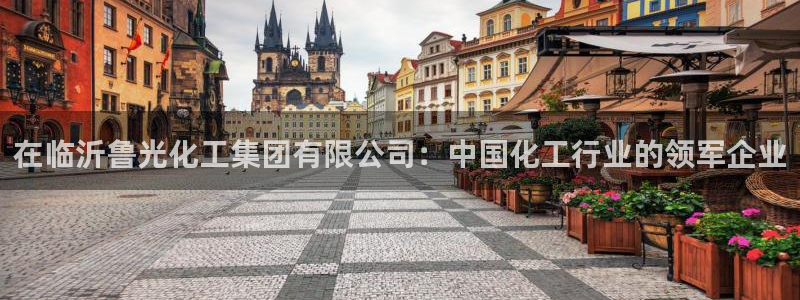 球盟会能提现吗是真的吗：在临沂鲁光化工集团有限公司：中国化工