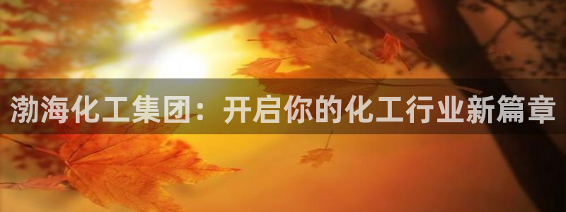 球盟会官方下载