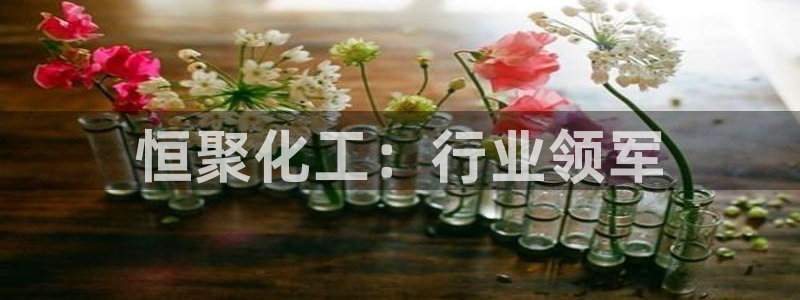 球盟会头号玩家：恒聚化工：行业领军