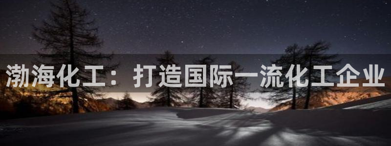球盟会贴吧：渤海化工：打造国际一流化工企业
