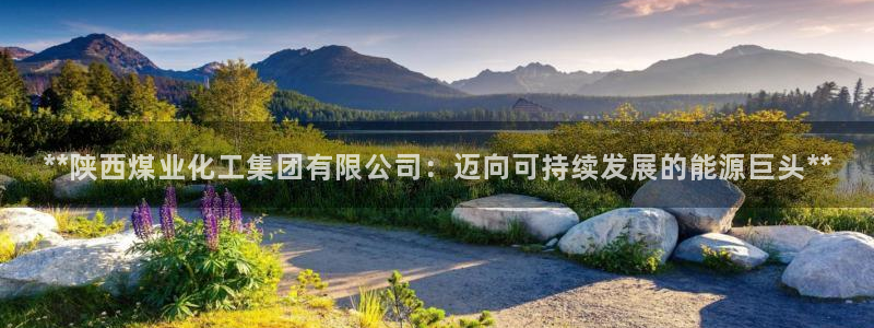 球盟会能退钱吗知乎：**陕西煤业化工集团有限公司：迈向可持续