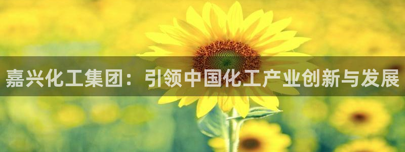 球盟会qmh登录地址