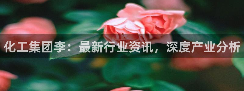 球盟会黑款吗知乎小说