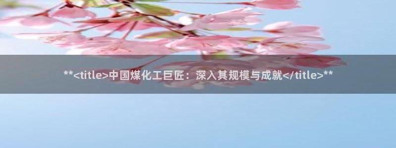 球盟会类似的网站：**<title>中国煤化工巨匠：深入其规