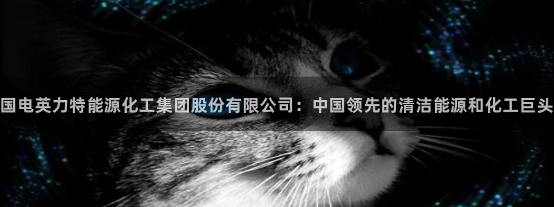 球盟会手机网页版