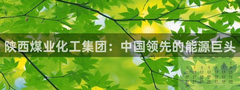 球盟会官网入口：陕西煤业化工集团：中国领先的能源巨头