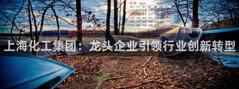 球盟会官方网入口