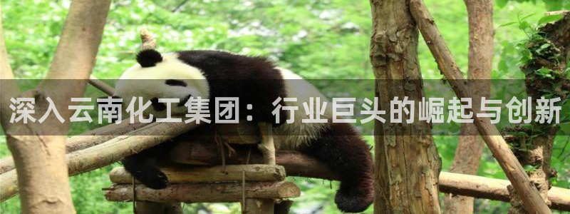 球盟会网页版