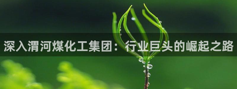 球盟会黑款吗还是白款