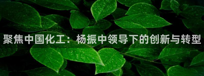 球盟会app最新地址下载安装