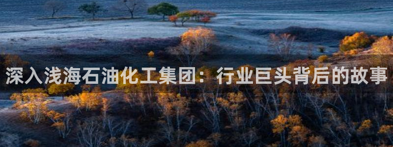 球盟会官方网入口