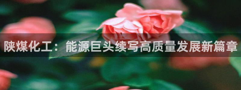 球盟会可靠不：陕煤化工：能源巨头续写高质量发展新篇章