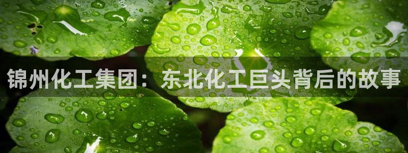 球盟会官方版下载地址
