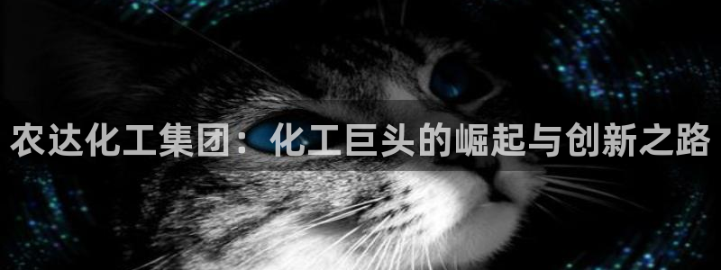 球盟会综合app下载
