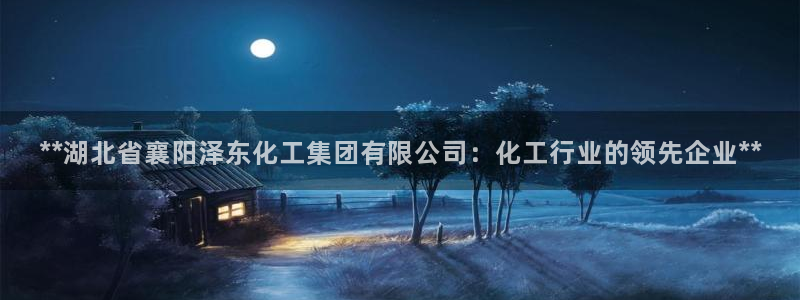 球盟会官方网站：**湖北省襄阳泽东化工集团有限公司：化工行业