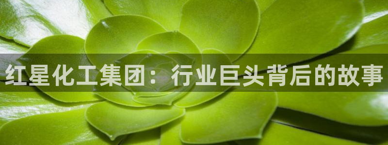 球盟会登录网址