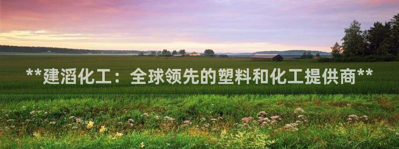 球盟会可以提现么是真的吗：**建滔化工：全球领先的塑料和化工