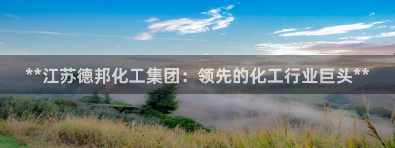 球盟会进不去球员吗：**江苏德邦化工集团：领先的化工行业巨头