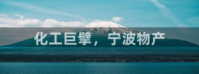 球盟会电子游戏平台：化工巨擘，宁波物产