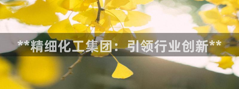 球盟会头号玩家是谁：**精细化工集团：引领行业创新**