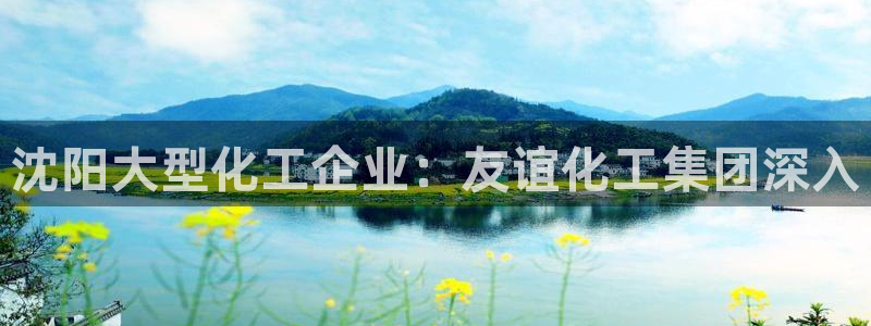 球盟会(中国)官方网站：沈阳大型化工企业：友谊化工集团深入