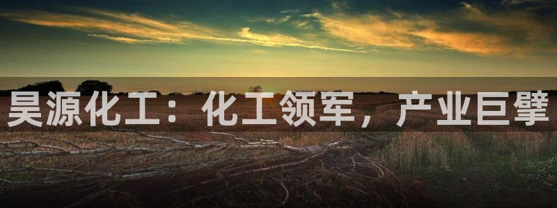 球盟会官方客服：昊源化工：化工领军，产业巨擘