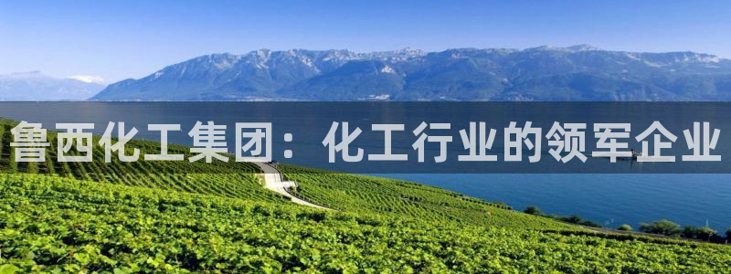 球盟会APP下载：鲁西化工集团：化工行业的领军企业