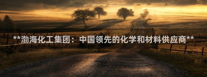 球盟会官方app首页入口：**渤海化工集团：中国领先的化学和