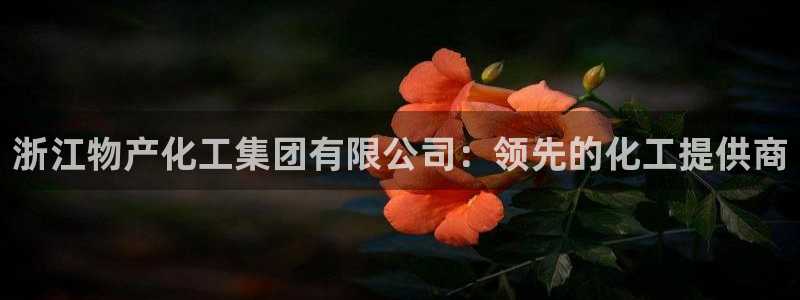 球盟会最新：浙江物产化工集团有限公司：领先的化工提供商