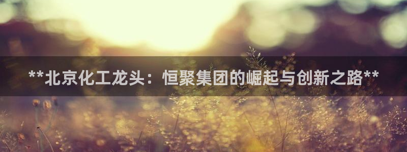 球盟会黑平台：**北京化工龙头：恒聚集团的崛起与创新之路**