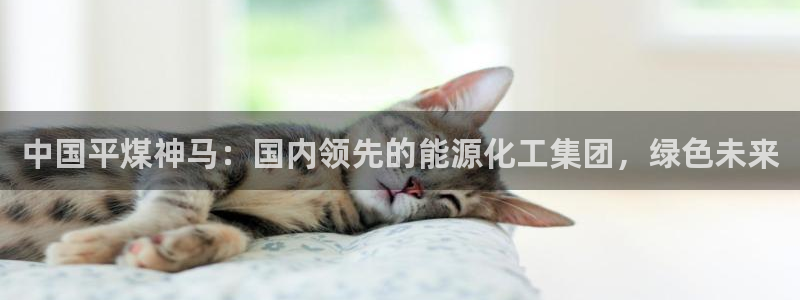 球盟会网址qm9 - 球盟会qmh网页版登录：中国平煤神马：