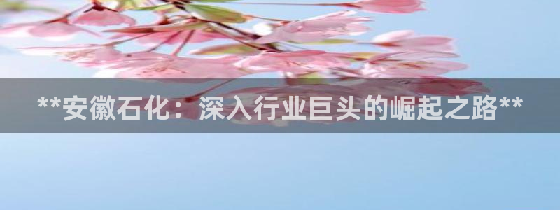 球盟会封号