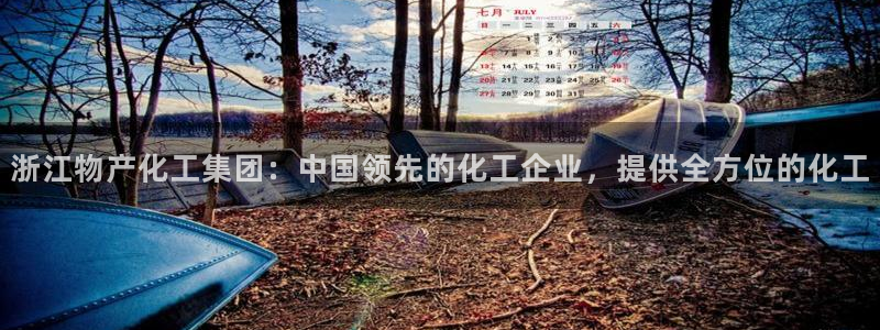 球盟会国际官网：浙江物产化工集团：中国领先的化工企业，提供全