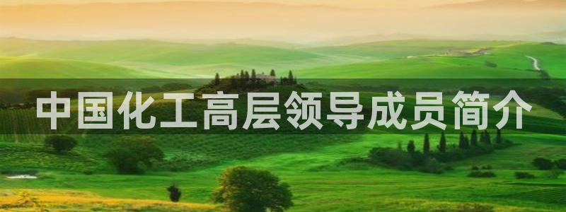 球盟会登录入口