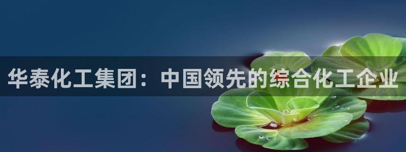 球盟会有没有黑单的球员：华泰化工集团：中国领先的综合化工企业