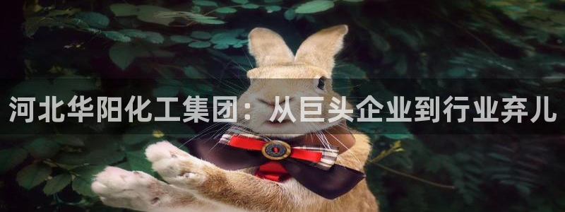球盟会可靠不