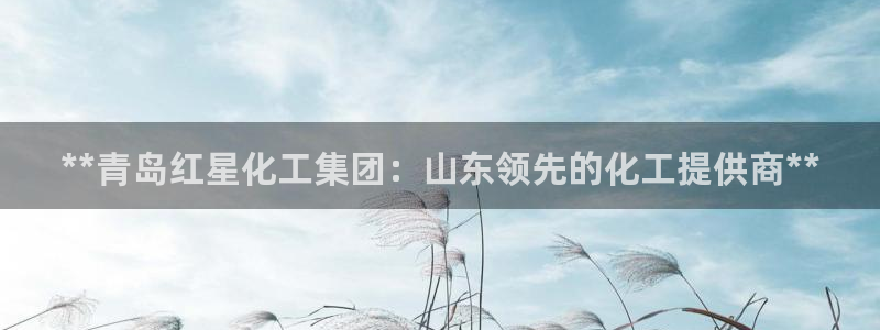 球盟会app网址多少号：**青岛红星化工集团：山东领先的化工