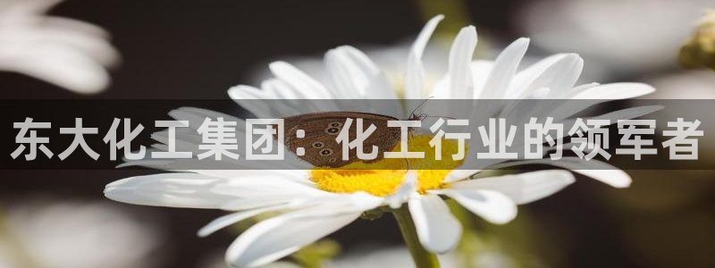 球盟会和中欧合作吗