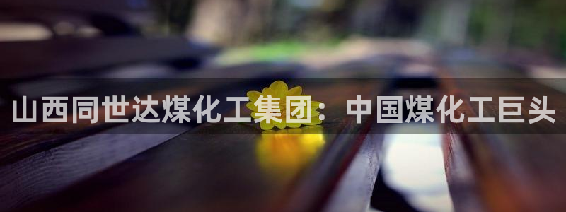 球盟会黑