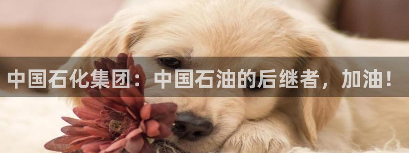 球盟会黑款吗还是白款：中国石化集团：中国石油的后继者，加油！