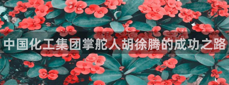 球盟会黑网