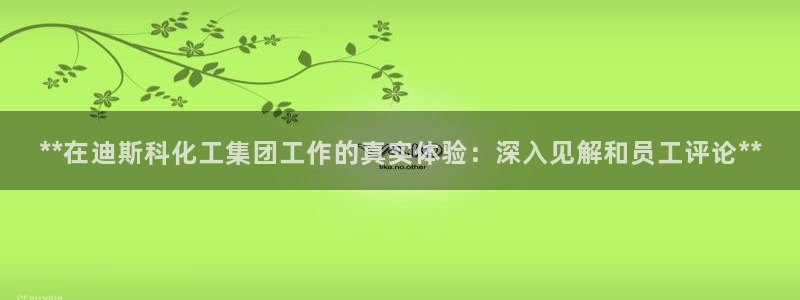 球盟会游戏：**在迪斯科化工集团工作的真实体验：深入见解和员