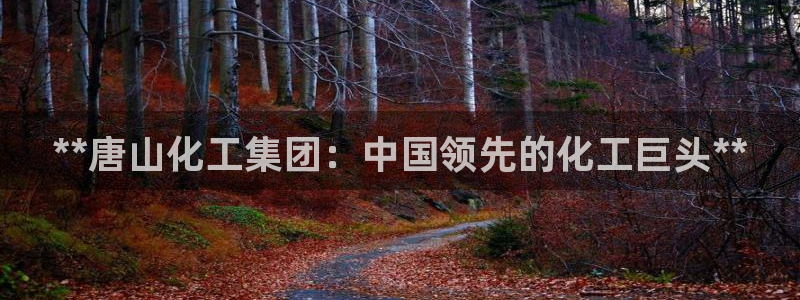 球盟会官网：**唐山化工集团：中国领先的化工巨头**