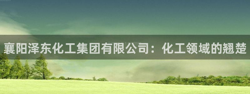 球盟会连接
