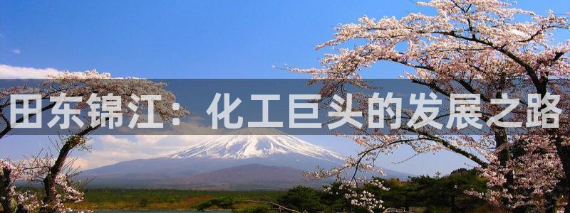 球盟会优惠领取网站