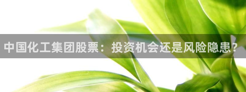 球盟会手机网页版