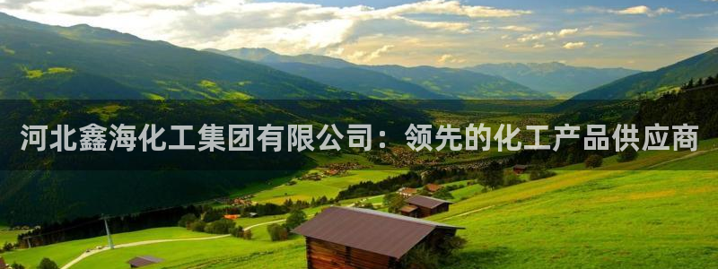 球盟会连接：河北鑫海化工集团有限公司：领先的化工产品供应商