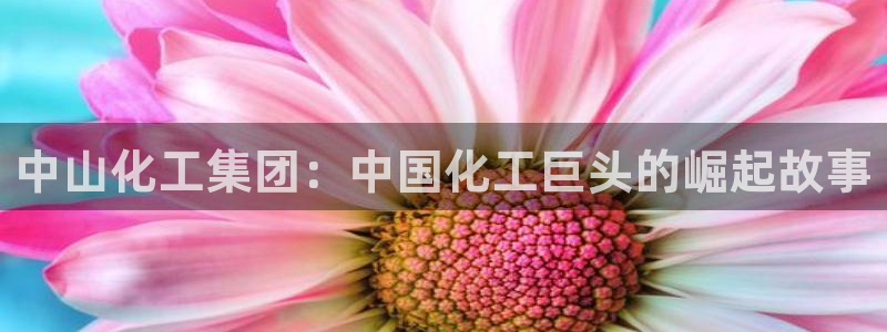 球盟会登录网址