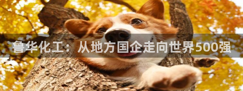 球盟会体验金