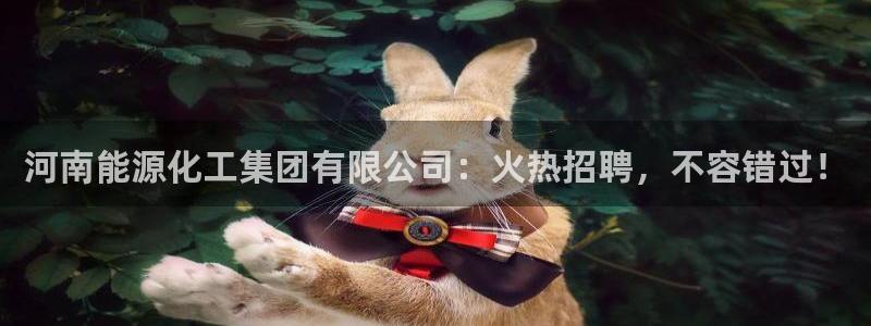 球盟会官方版下载地址